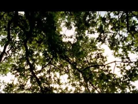 Martin Phipps _ The Virgin Queen (The Mediaeval Baebes)