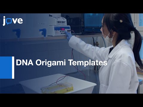 Assembly-Gold Nanorods Into Chiral Plasmonic Metamolecules l Protocol Preview