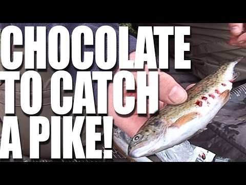 Advanced Pike Attractants Advanced Pike Attractants