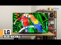 LG OLED65CX6LA - видео