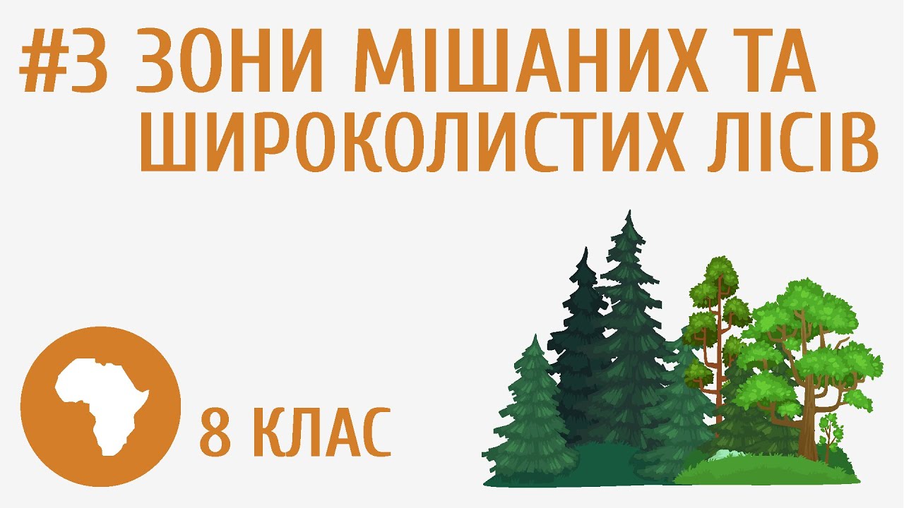 Зони мішаних, широколистих лісів | Географія | 8 клас | AR Book