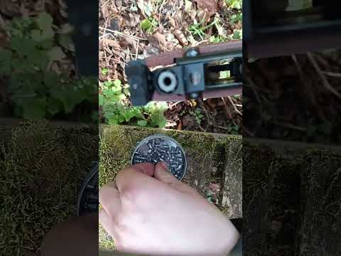 Weihrauch HW99S Air Rifle Rifle (.22) at 65 metres with @KenRambler and @airgun_addict