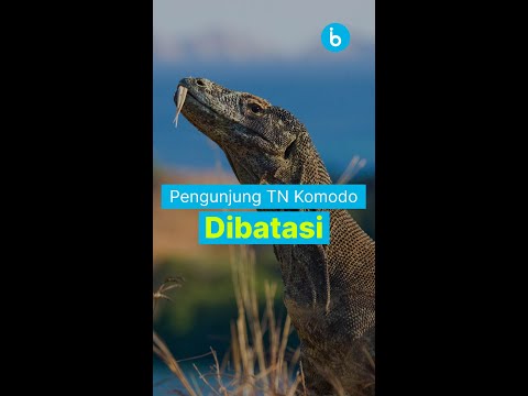 Indonesia Baik