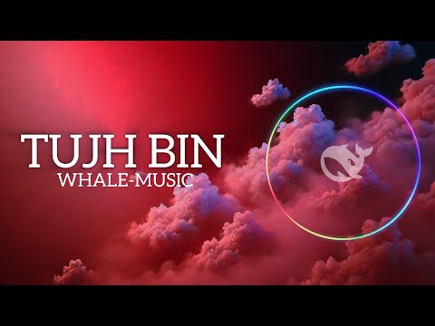 Tujh Bin Full Music [instrumental] | Tujh Bin Ringtone Music | Whale-Music