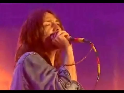 The Black Crowes - Live In Switzerland 2001