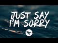 P Nk Chris Stapleton Just Say I M Sorry Lyrics