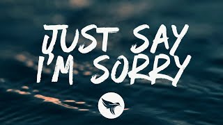 P!nk &amp; Chris Stapleton - Just Say I&#39;m Sorry (Lyrics)