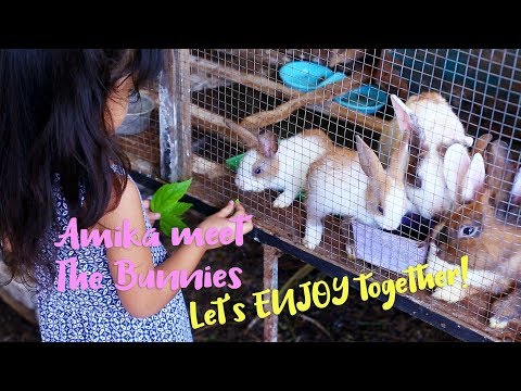 Out for shoot // Amika and Little Bunnies : Family Video