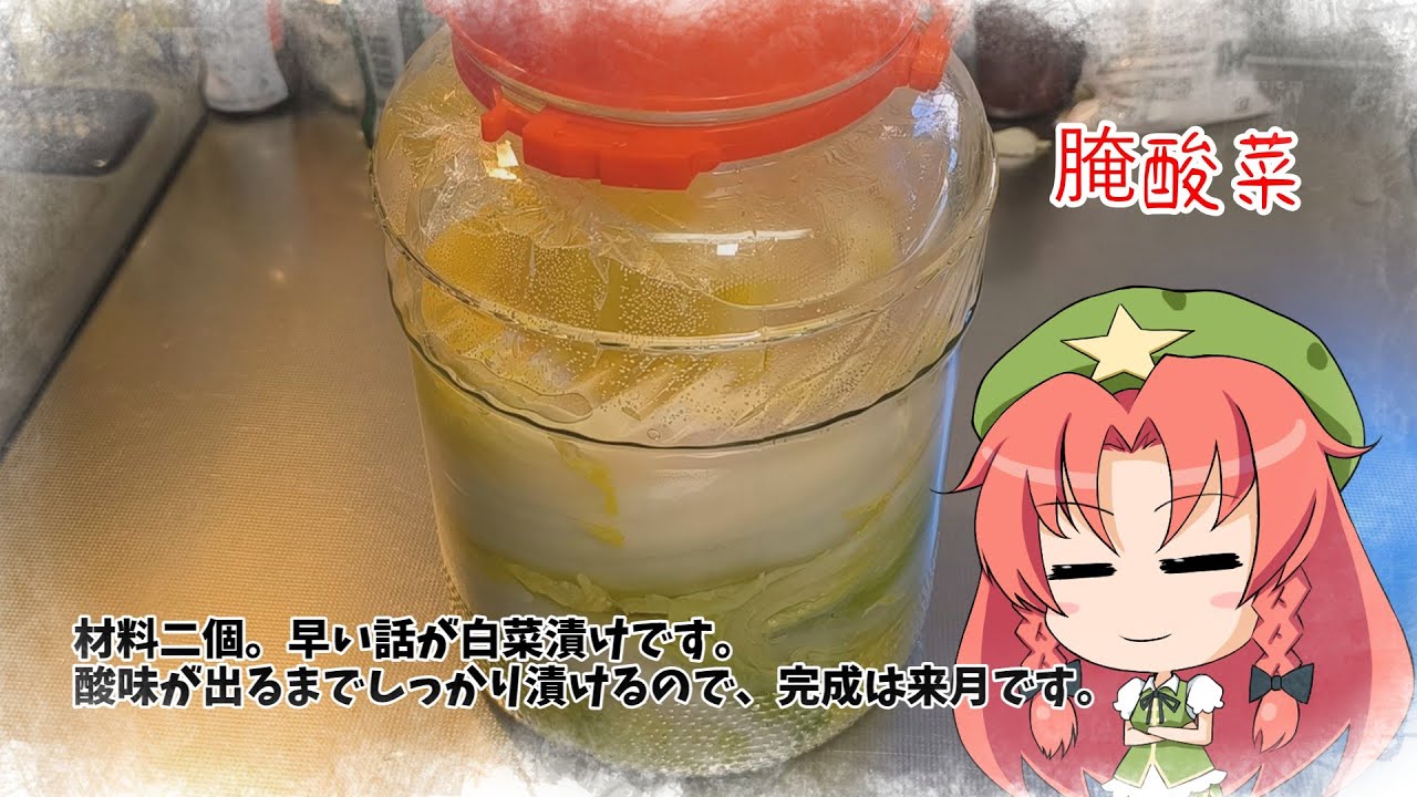 【ゆっくり料理】酸菜を仕込む【白菜漬け】
