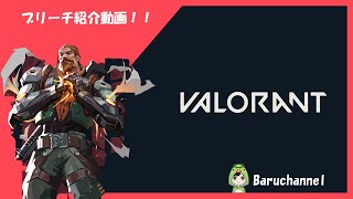 【VALORANT】かわいいブリーチおじさんを使ってみてほしい!!【紹介動画】
