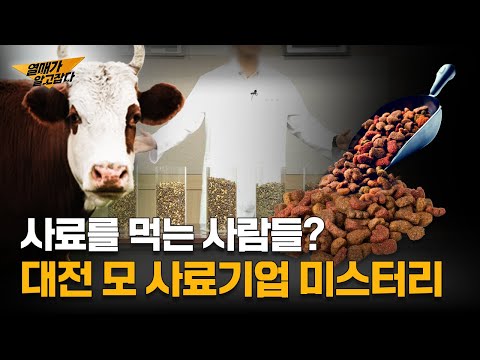 사료를 먹는 사람들이 있다? 대전 모 사료기업의 미스터리! | 열매가 알고JOB다