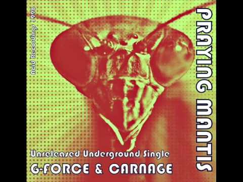 Praying Mantis (Gforce & Carnage) Acid Recordings 1998 - Let the Battle Begin Single.wmv