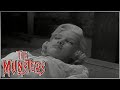 Sleeping Cutie The Munsters