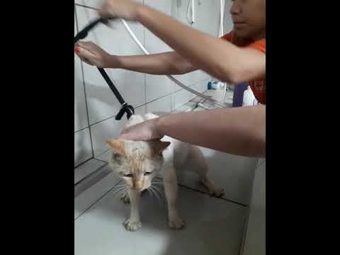 O nino disse que não tem medo de banho.