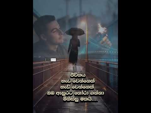 කෙලෙසක කීවත් ඔබ ගැන මතකය අමතක කරනු කියා..,@KasunUmasha