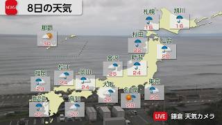 6月8日の天気