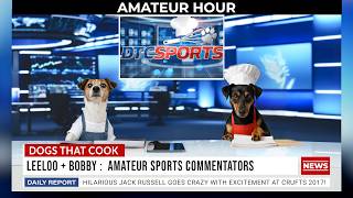 Amateur Hour: Sports Commentators | Dogs React to Crufts Agility Chaos