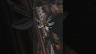 Download lagu Vaaya en veera๐๐ท| Kanchana | Tamil aesthetic whatsapp status | #trending #kanchana3 #aesthetic #love mp3 Download lagu Vaaya en veera๐๐ท| Kanchana | Tamil aesthetic whatsapp status | #trending #kanchana3 #aesthetic #love mp3