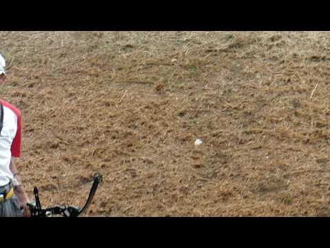 Fita 3D worlds italy