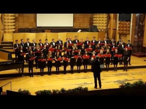 Amicus Timisoara - Mare taina