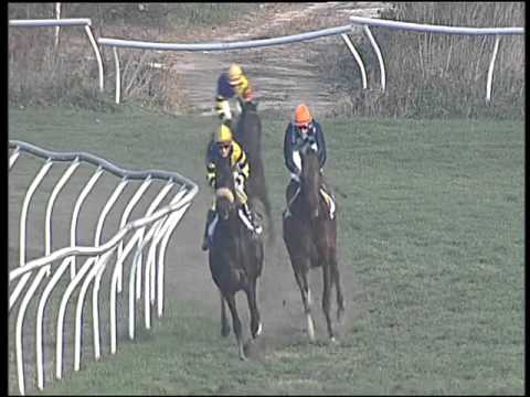 Galoppo 23/12/2015 - 1° corsa