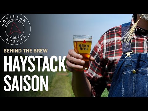 Haystack Saison (Choose Your Yeast Adventure!) |  Behind the Brew