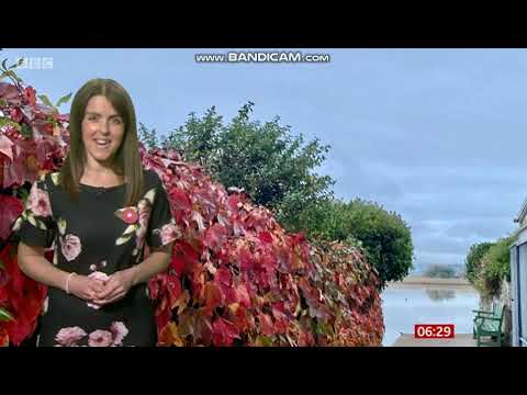 Alex Osbourne BBC One Spotlight weather November 9th 2021 in HD! - 60 FPS