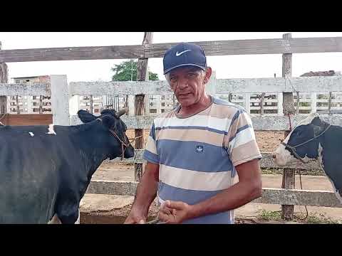 Feira de Gado de Sumé PB 02/03/2026