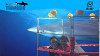 DIA 2 Expo Tiburon65