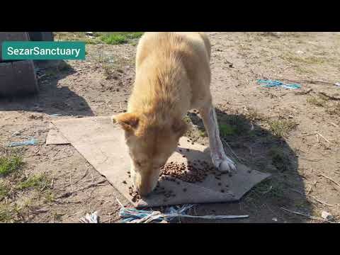 آقامهیار رو یادونه؟😄❤do you remember Mr.Mahyar