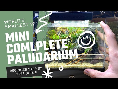 Probably it's the World's Smallest paludarium Tank from Mini Complete Tank - Beginner Step-by-step