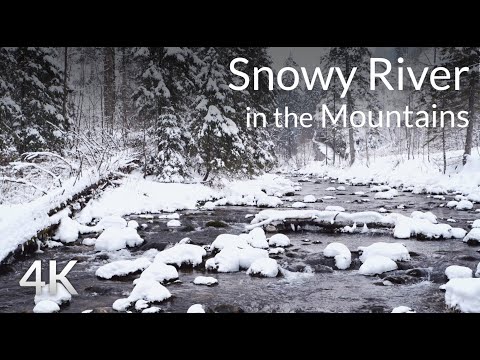 4K Snowfall - Winter Mountain River - Snowy River - Relaxing Winter Video - Water & Raven Sounds