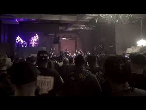 Gorilla Nems - Gahbage (Brooklyn, NY)