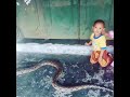 BOCIL BOCIL GANAS