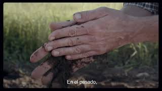 ITT The Right Partner