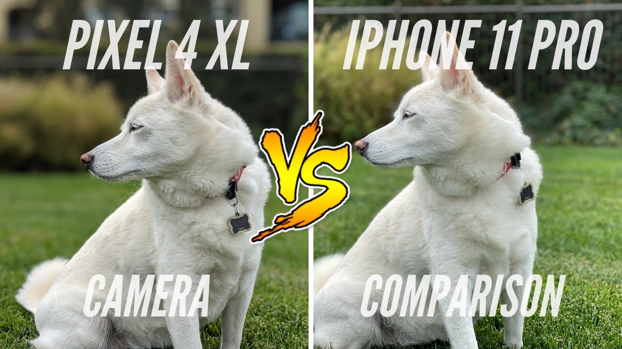 Google Pixel 4 XL vs iPhone 11 Pro Camera Comparison