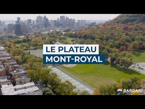 L'été à Montréal: Le Plateau Mont-Royal