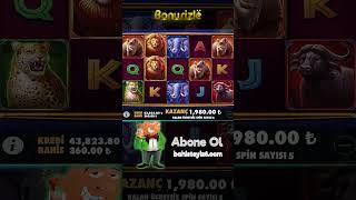 The Ultimate 5 Slot Big Win 115K 🎰 Pragmatic Play ⭐️ #rekorkazanç #casino #slotoyunları Video Video