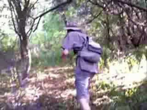 The Morwin's Adventures