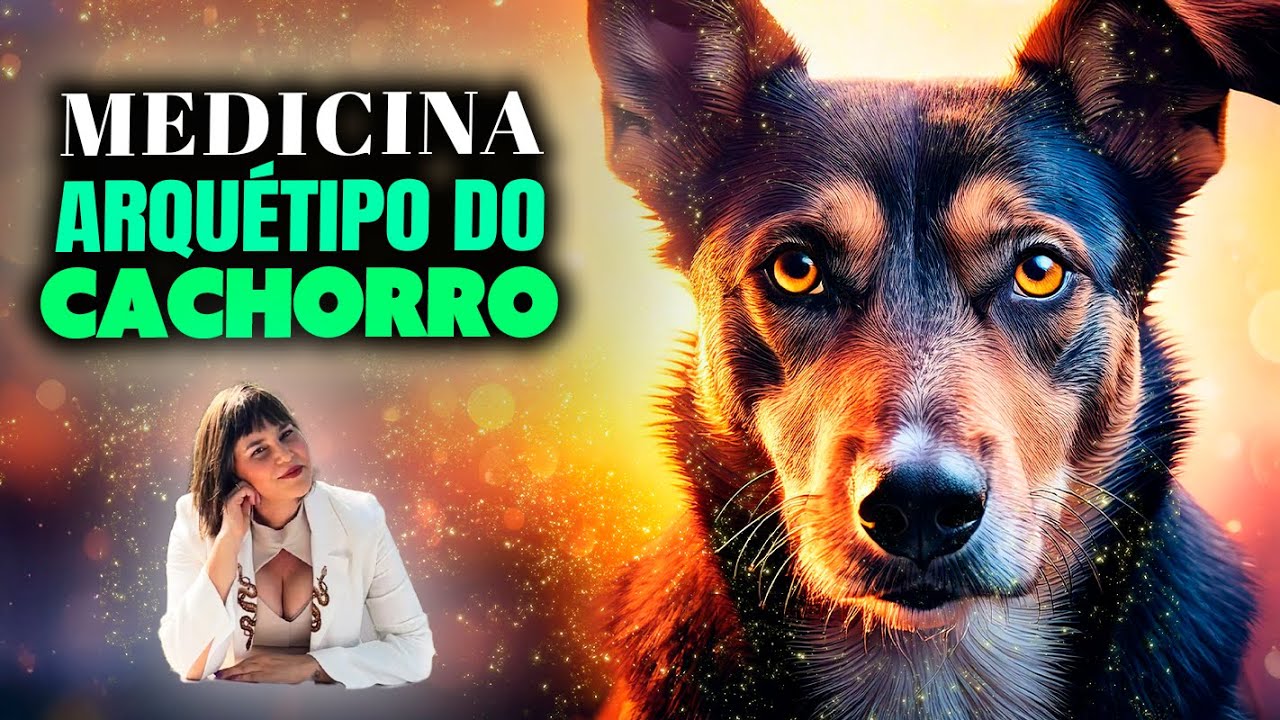 Medicina Animal de Poder do Cachorro Tudo sobre Fidelidade e Curiosidade com esse Totem!