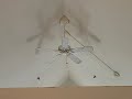 Casablanca Four Seasons Iii Ceiling Fan 4K60 Remake