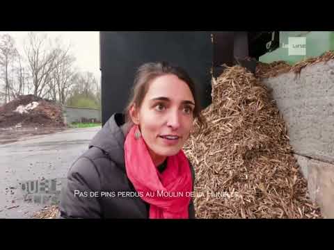 Reportage RTBF   Quel Temps!    Pas de pins perdus