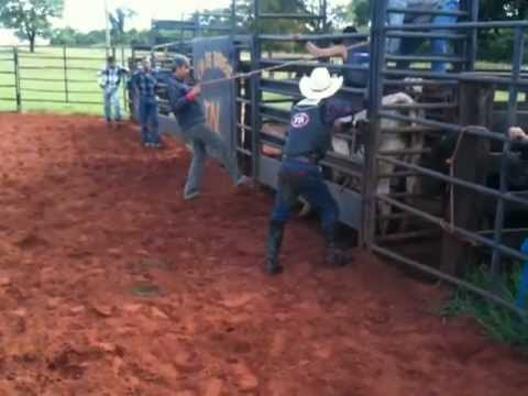 Laurindo pedrini vs Comentario da cia JN