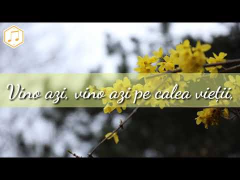 Grupul Efrata - Vino azi pe calea vietii