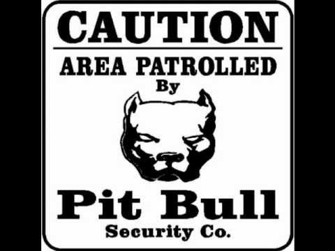 Pitbull Mafia - Liricas Complejas.wmv