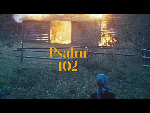 Thrown Aside | Psalm 102
