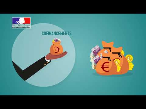 L'action des pouvoirs publics