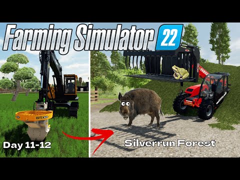 Start from 0$ on Silverrun forest | Farming Simulator 22 | Day 11-12