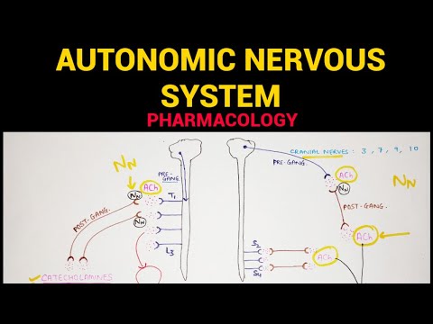 Autonomic Pharmacology - 1 | Sympathetic & Parasympathetic Nervous System | EOMS
