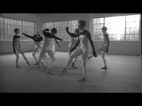 Beach Birds for Camera fragment